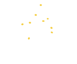 JS_Fleur_Negatif